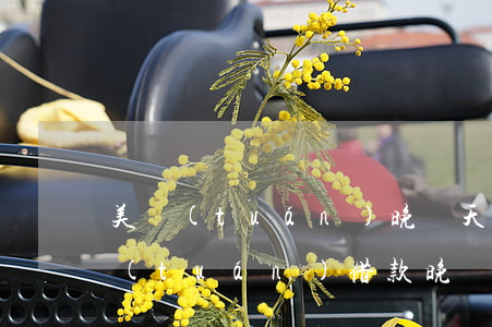 美團(tuán)晚兩天還款算逾期嗎(美團(tuán)借款晚還兩天影響嗎)