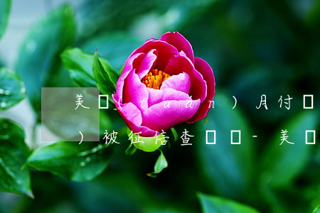 美團(tuán)月付沒有逾期會(huì)被征信查詢嗎-美團(tuán)月付沒有逾期會(huì)被征信查詢嗎知乎
