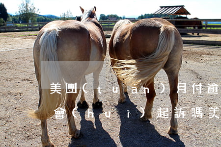 美團(tuán)月付逾期3個(gè)月會(huì)起訴嗎(美團(tuán)月付逾期幾個(gè)月沒還后果會(huì)怎么樣)