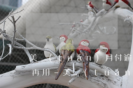 美團(tuán)月付逾期一天多久才可以再用-美團(tuán)月付逾期一天多久才可以再用啊