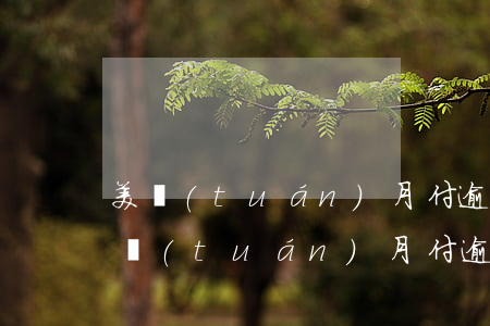 美團(tuán)月付逾期一天用不了了(美團(tuán)月付逾期一天是不是以后都不能用了?)