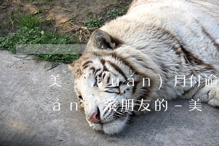美團(tuán)月付逾期是怎么聯(lián)系朋友的-美團(tuán)月付逾期會(huì)打電話給通訊錄里面的人嗎