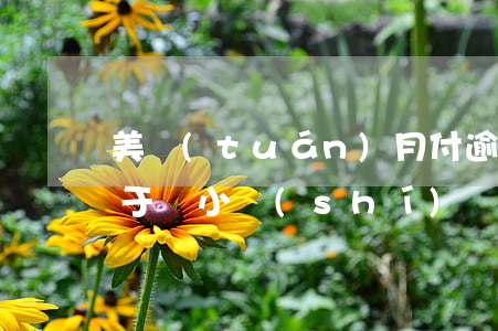 美團(tuán)月付逾期請(qǐng)于兩小時(shí)內(nèi)還款-美團(tuán)月付逾期請(qǐng)于兩小時(shí)內(nèi)還款怎么辦
