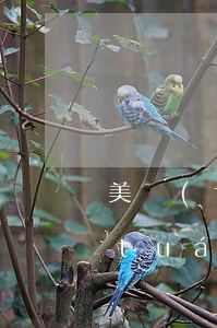 美團(tuán)有逾期有什么影響(美團(tuán)有逾期有什么影響)
