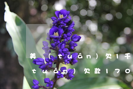 美團(tuán)欠1千六貸款逾期(美團(tuán)欠款17000逾期4個(gè)月發(fā)短信說(shuō)進(jìn)去開(kāi)庭)