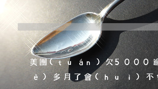 美團(tuán)欠5000逾期三個(gè)多月了 會(huì)不會(huì)被告上法庭?（美團(tuán)逾期3000會(huì)不會(huì)被起訴）