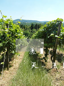 美團(tuán)欠了7000塊逾期95天-美團(tuán)逾期幾千塊,一個(gè)月會(huì)怎么樣?是否美團(tuán)起訴?