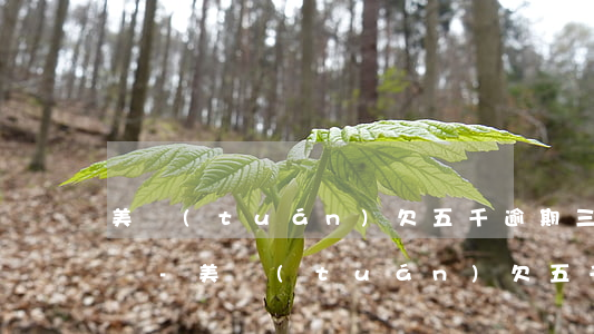 美團(tuán)欠五千逾期三個月會上門嗎-美團(tuán)欠五千逾期三個月會上門嗎知乎