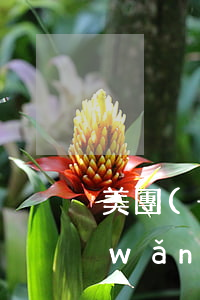 美團(tuán)欠兩萬(wàn)六網(wǎng)貸真的會(huì)上門嗎-
