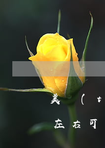 美團(tuán)欠款逾期一個(gè)月左右可以嗎-美團(tuán)欠款逾期一個(gè)月左右可以嗎知乎