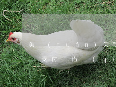 美團(tuán)欠款逾期會(huì)影響支付寶借錢(qián)嗎-美團(tuán)欠款逾期會(huì)影響支付寶借錢(qián)嗎知乎