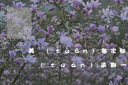美團(tuán)每次都逾期一天怎么辦(美團(tuán)逾期一天會(huì)不會(huì)對(duì)征信有影響信用卡使用)