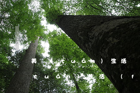 美團(tuán)生活貸款逾期5天(美團(tuán)生活費(fèi)逾期三個(gè)月說(shuō)立案了怎么辦)
