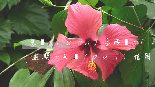 美團(tuán)生活費(fèi)不小心逾期一天對(duì)信用影響大嗎(美團(tuán)生活費(fèi)逾期一兩天有沒有問題?)