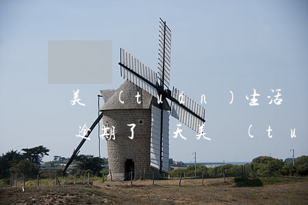 美團(tuán)生活費(fèi)不小心逾期了兩天（美團(tuán)生活費(fèi)不小心逾期了兩天）