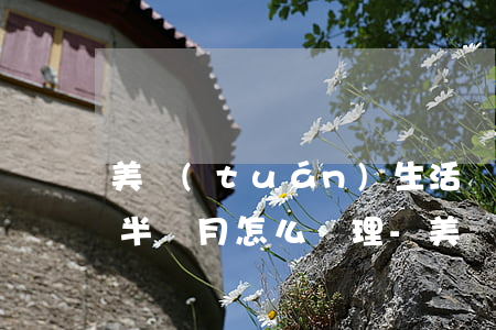 美團(tuán)生活費(fèi)想逾期半個月怎么處理-美團(tuán)生活費(fèi)想逾期半個月怎么處理呢