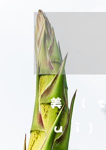 美團(tuán)生活費(fèi)會(huì)影響車(chē)貸嗎（美團(tuán)逾期影響買(mǎi)車(chē)嗎）