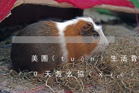美團(tuán)生活費(fèi)逾期10天怎么協(xié)商延期還款-美團(tuán)生活費(fèi)逾期10天怎么協(xié)商延期還款呢