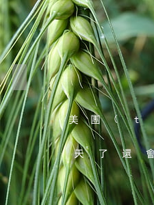 美團(tuán)生活費(fèi)逾期3天了還會(huì)怎么樣-美團(tuán)生活費(fèi)逾期3天了還會(huì)怎么樣嗎
