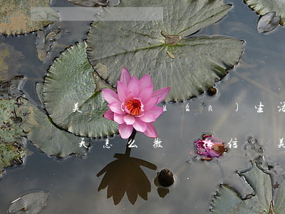 美團(tuán)生活費(fèi)逾期一天怎么撤銷征信-美團(tuán)生活費(fèi)逾期一天怎么撤銷征信記錄