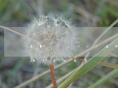 美團(tuán)生活費(fèi)逾期了多久可以再借-