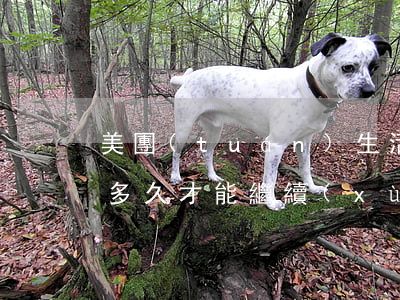 美團(tuán)生活費(fèi)逾期了多久才能繼續(xù)用-美團(tuán)生活費(fèi)逾期了多久才能繼續(xù)用啊