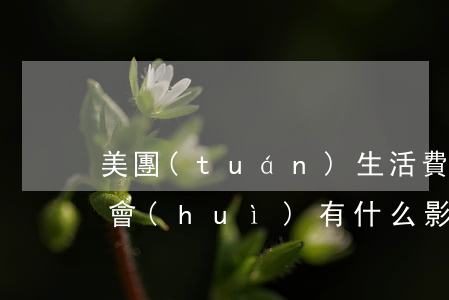 美團(tuán)生活費(fèi)逾期了會(huì)有什么影響-美團(tuán)生活費(fèi)逾期了會(huì)有什么影響嘛