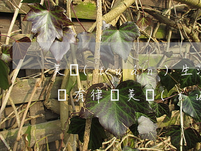 美團(tuán)生活費(fèi)逾期了會有律師 美團(tuán)生活費(fèi)逾期了會有律師函嗎