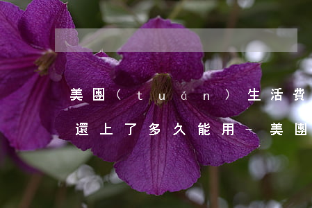 美團(tuán)生活費(fèi)逾期了還上了多久能用-美團(tuán)生活費(fèi)逾期后還款了,多久可以用