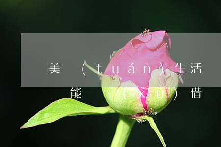 美團(tuán)生活費(fèi)逾期了還能繼續(xù)借嗎(美團(tuán)生活費(fèi)逾期一星期,還上后還能借嗎)