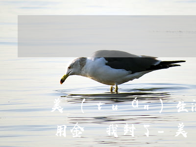 美團(tuán)生活費(fèi)逾期備用金給我封了-美團(tuán)生活費(fèi)逾期備用金給我封了怎么辦