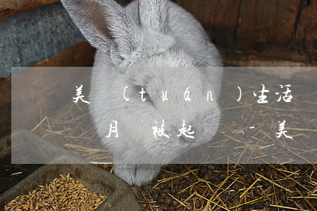 美團(tuán)生活費(fèi)逾期兩個月會被起訴嗎-美團(tuán)生活費(fèi)逾期兩個月會被起訴嗎知乎