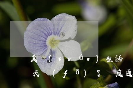 美團(tuán)生活費(fèi)逾期六天發(fā)了開庭通知給我（美團(tuán)生活費(fèi)逾期起訴全程錄像）