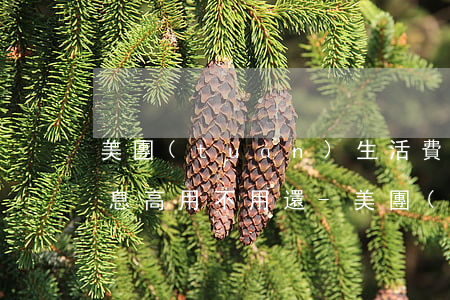 美團(tuán)生活費(fèi)逾期利息高用不用還-美團(tuán)生活費(fèi)逾期利息高用不用還本金