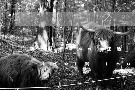 美團(tuán)生活費(fèi)逾期半個(gè)月會(huì)怎么樣-美團(tuán)生活費(fèi)逾期半個(gè)月會(huì)怎么樣嗎