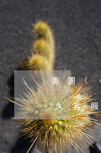 美團(tuán)生活費(fèi)逾期多久客服會(huì)打電話-美團(tuán)生活費(fèi)逾期多久客服會(huì)打電話給家人