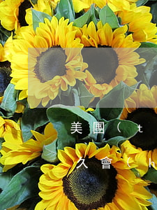 美團(tuán)生活費(fèi)逾期多久會(huì)撤案有案底-美團(tuán)生活費(fèi)逾期多久會(huì)被起訴會(huì)有什么后果