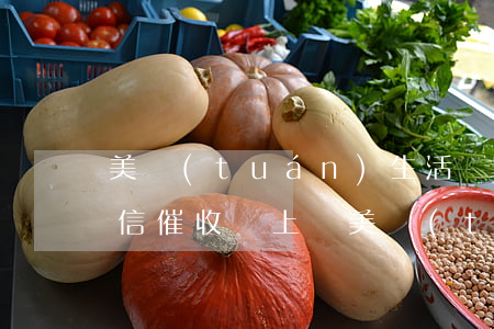 美團(tuán)生活費(fèi)逾期微信催收說上門(美團(tuán)生活費(fèi)催收人員打電話說要上門)