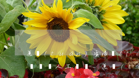 美團(tuán)生活費(fèi)逾期投訴電話人工電話-美團(tuán)生活費(fèi)逾期投訴電話人工電話是多少
