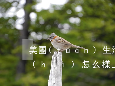 美團(tuán)生活費(fèi)逾期會(huì)怎么樣上門調(diào)查-美團(tuán)生活費(fèi)逾期會(huì)怎么樣上門調(diào)查嗎