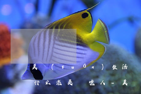 美團(tuán)生活費(fèi)逾期為什么老是嚇唬人-美團(tuán)生活費(fèi)逾期為什么老是嚇唬人呢