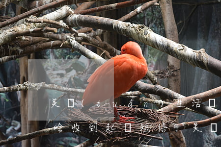 美團(tuán)生活費(fèi)逾期為啥收到起訴短信-美團(tuán)生活費(fèi)逾期為啥收到起訴短信通知