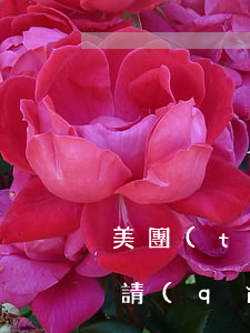 美團(tuán)生活費(fèi)逾期申請(qǐng)法院備案排期(美團(tuán)生活費(fèi)逾期半個(gè)月要去法院開(kāi)庭審理了)