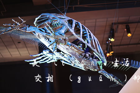 美團(tuán)生活費(fèi)逾期移交相關(guān)部門處理-美團(tuán)生活費(fèi)逾期移交相關(guān)部門處理流程