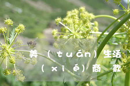 美團(tuán)生活費(fèi)逾期能協(xié)商還款嗎(美團(tuán)生活費(fèi)逾期可以協(xié)商再分期還款嗎)