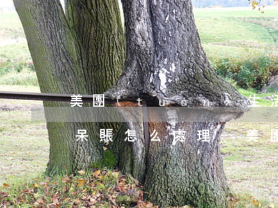 美團(tuán)生活費(fèi)逾期變呆賬怎么處理-美團(tuán)生活費(fèi)逾期變呆賬怎么處理啊
