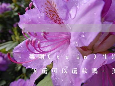 美團(tuán)生活費(fèi)逾期起訴還可以還款嗎-美團(tuán)生活費(fèi)逾期起訴還可以還款嗎知乎