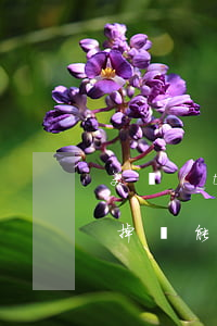 美團(tuán)生活費(fèi)逾期還掉還能再借嗎-美團(tuán)生活費(fèi)逾期還掉還能再借嗎安全嗎