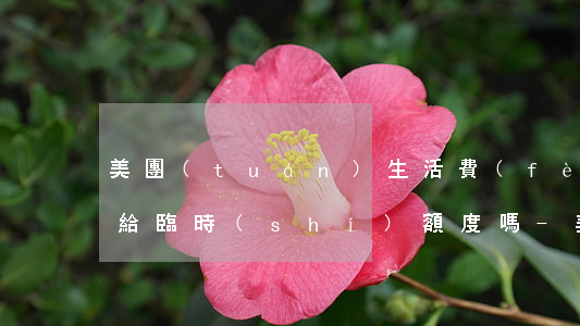 美團(tuán)生活費(fèi)逾期還給臨時(shí)額度嗎-美團(tuán)生活費(fèi)逾期還給臨時(shí)額度嗎是真的嗎