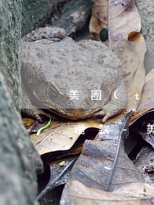 美團(tuán)生活費逾期三天要求全額還款-美團(tuán)生活費逾期三天要求全額還款是真的嗎